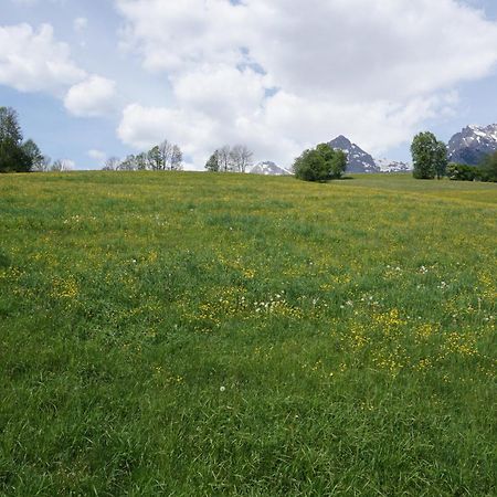 Pension & Appartements Anny Maria Alm am Steinernen Meer Eksteriør billede