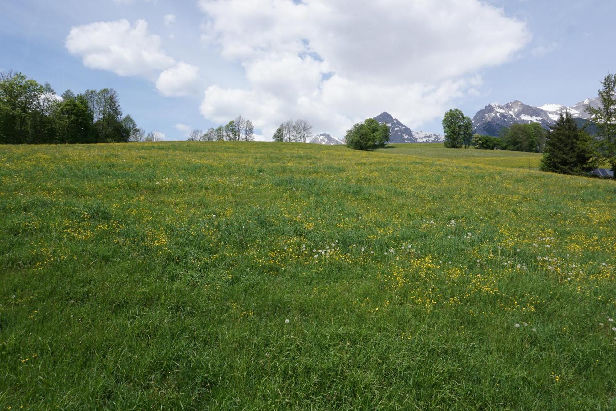Pension & Appartements Anny Maria Alm am Steinernen Meer Eksteriør billede